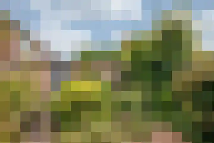 de Kreijenbeek 97 Valkenswaard thumbnail 27