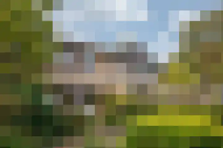de Kreijenbeek 97 Valkenswaard thumbnail 29