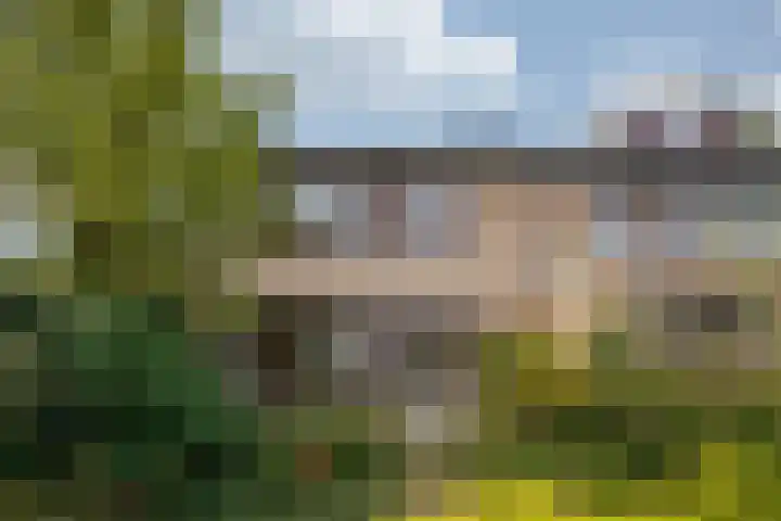 de Kreijenbeek 97 Valkenswaard thumbnail 30
