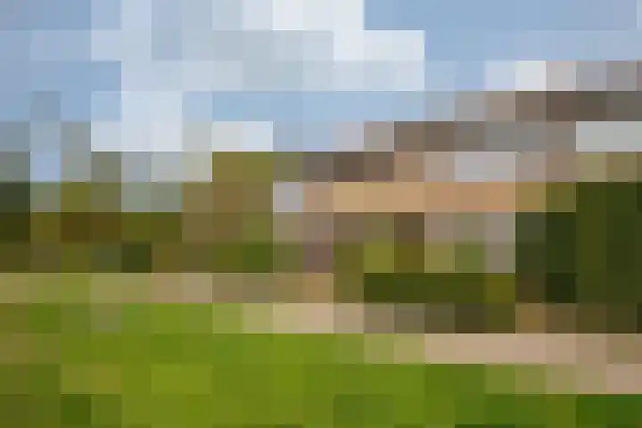 de Kreijenbeek 97 Valkenswaard thumbnail 31