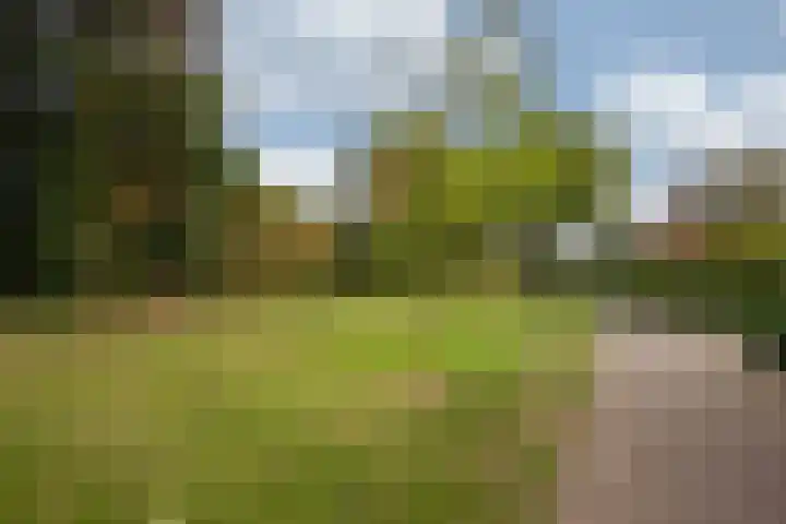 de Kreijenbeek 97 Valkenswaard thumbnail 33