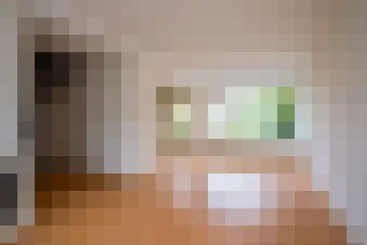 de Kreijenbeek 97 Valkenswaard thumbnail 6