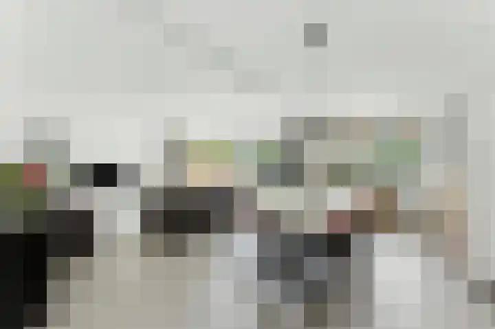 De Kreken 15 Alblasserdam thumbnail 12