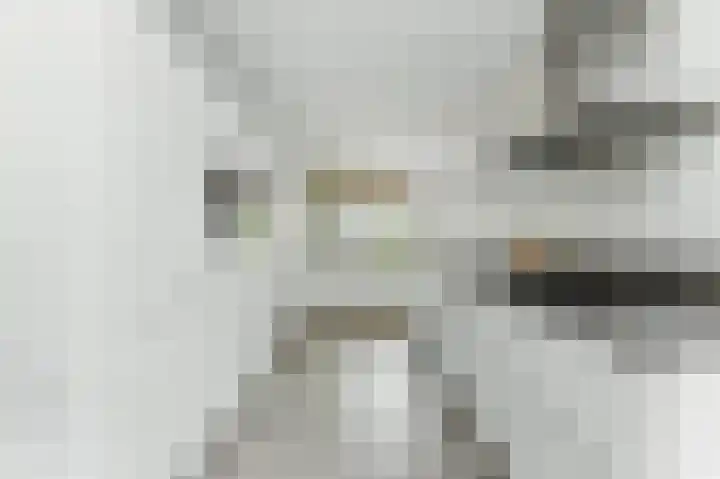 De Kreken 15 Alblasserdam thumbnail 13