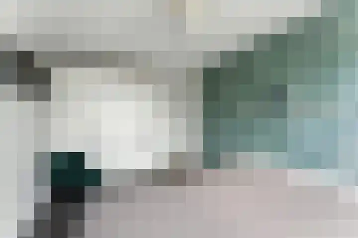 De Kreken 15 Alblasserdam thumbnail 18