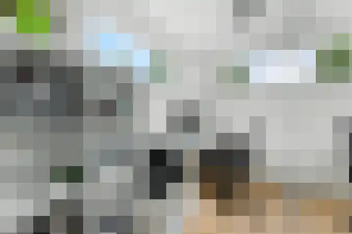De Kreken 15 Alblasserdam thumbnail 19