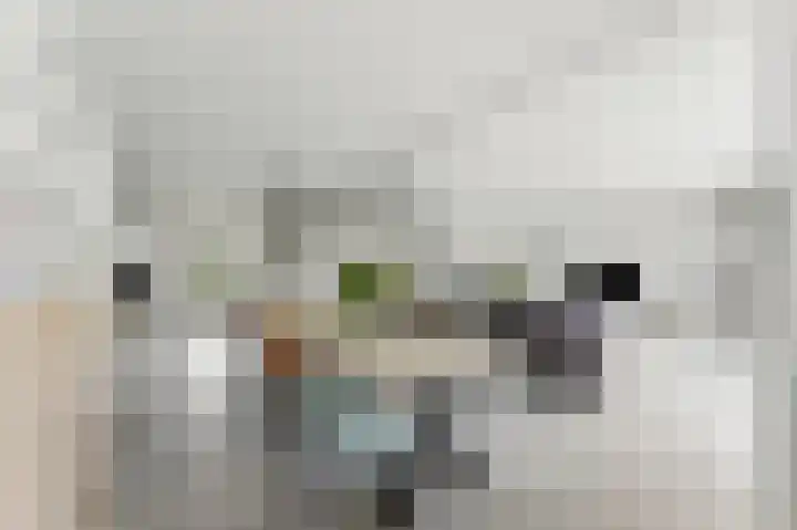 De Kreken 15 Alblasserdam thumbnail 4