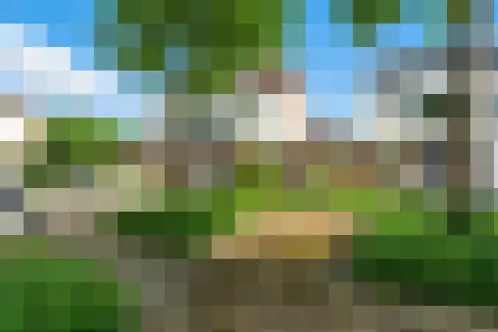 De Kreken 15 Alblasserdam thumbnail 43