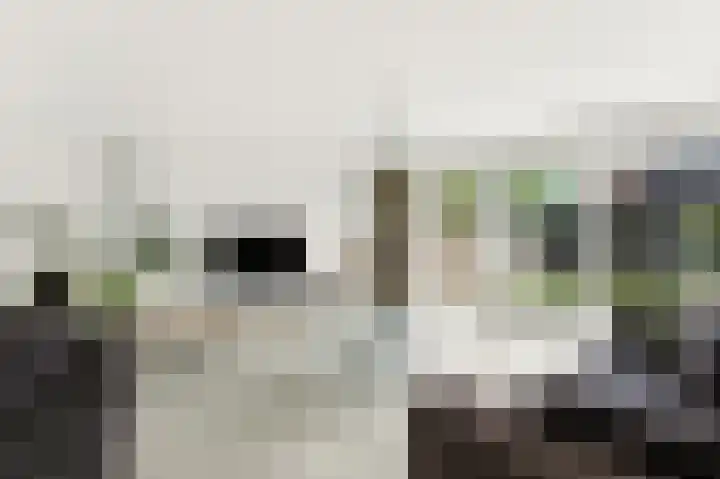 De Kreken 15 Alblasserdam thumbnail 5