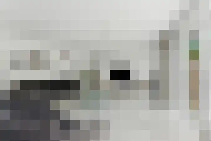 De Kreken 15 Alblasserdam thumbnail 6