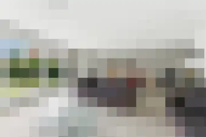 De Kreken 15 Alblasserdam thumbnail 7
