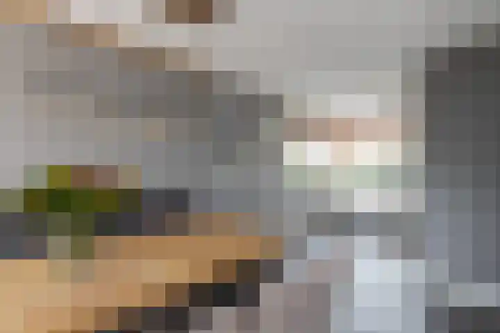 De Kreken 47 Alblasserdam thumbnail 12