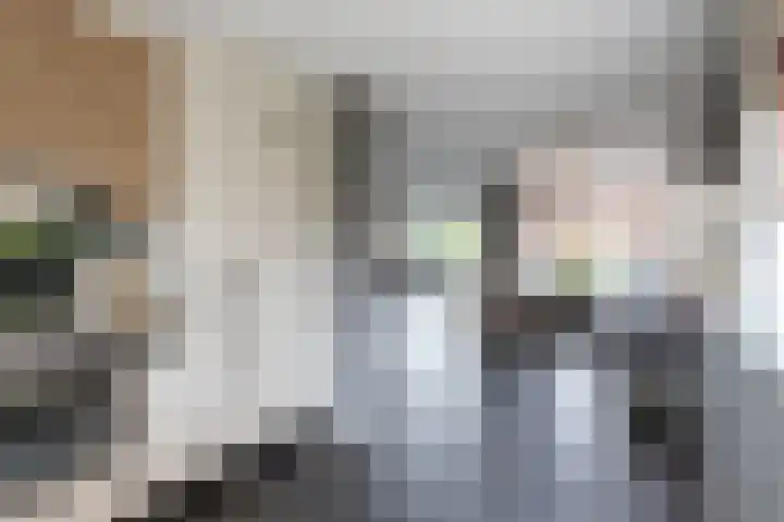 De Kreken 47 Alblasserdam thumbnail 13