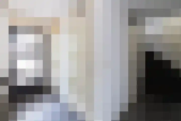 De Kreken 47 Alblasserdam thumbnail 16