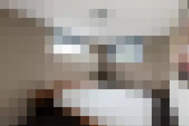 De Kreken 47 Alblasserdam thumbnail 17