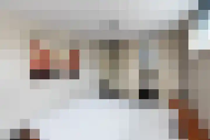De Kreken 47 Alblasserdam thumbnail 18