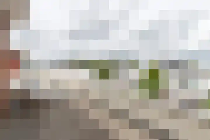 De Kreken 47 Alblasserdam thumbnail 27