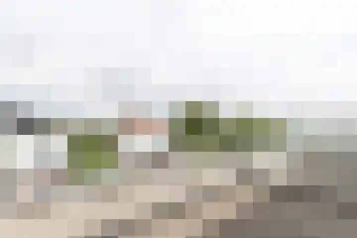 De Kreken 47 Alblasserdam thumbnail 28