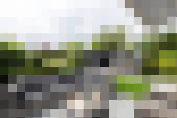 De Kreken 47 Alblasserdam thumbnail 29