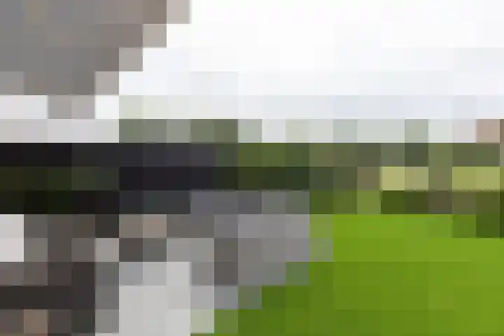 De Kreken 47 Alblasserdam thumbnail 30