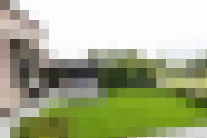De Kreken 47 Alblasserdam thumbnail 31