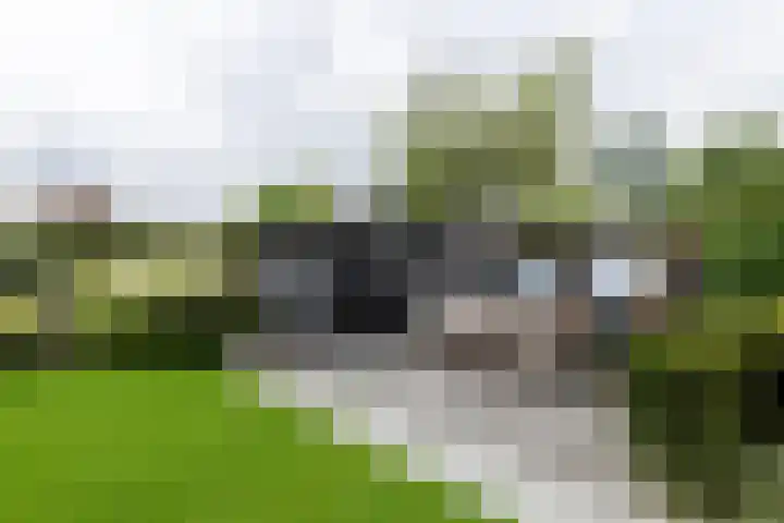 De Kreken 47 Alblasserdam thumbnail 33