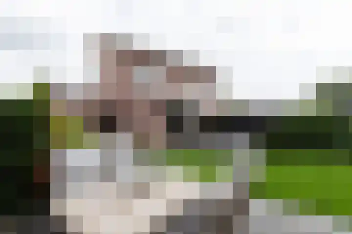 De Kreken 47 Alblasserdam thumbnail 34
