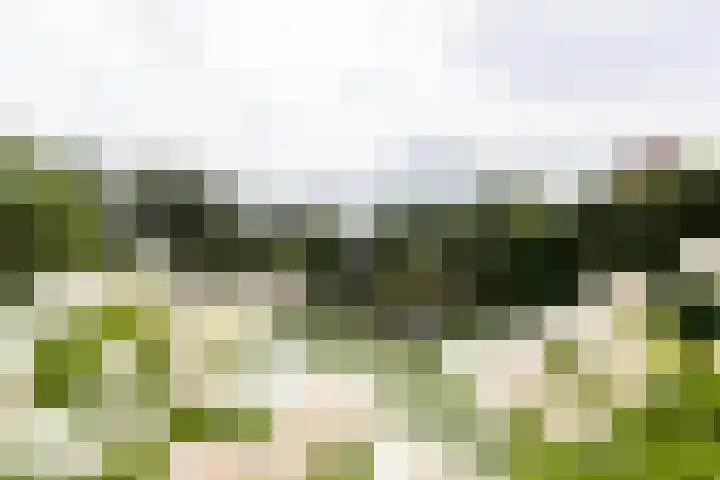 De Kreken 47 Alblasserdam thumbnail 35