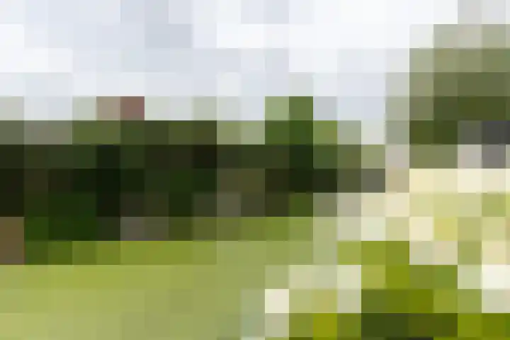 De Kreken 47 Alblasserdam thumbnail 36