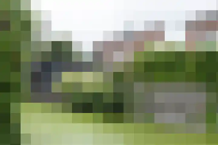 De Kreken 47 Alblasserdam thumbnail 37
