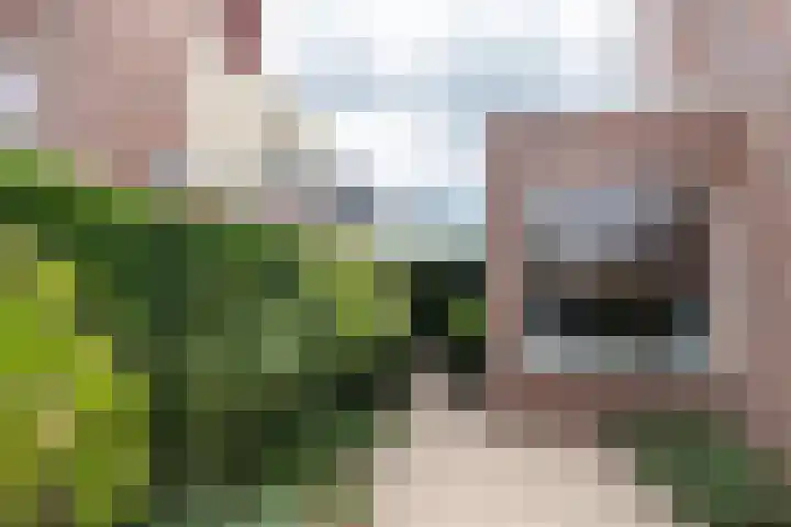 De Kreken 47 Alblasserdam thumbnail 38