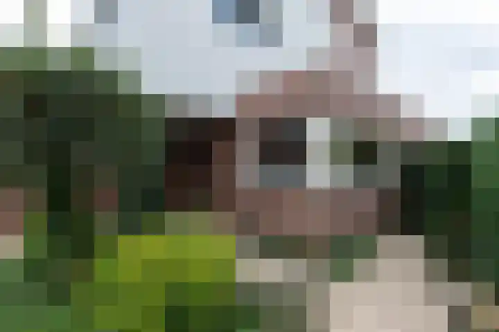 De Kreken 47 Alblasserdam thumbnail 39