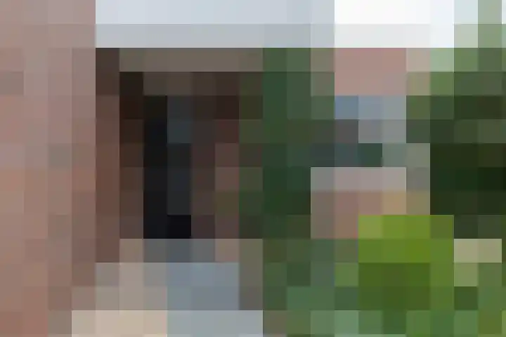 De Kreken 47 Alblasserdam thumbnail 5