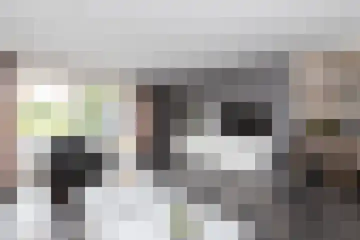 De Kreken 47 Alblasserdam thumbnail 7