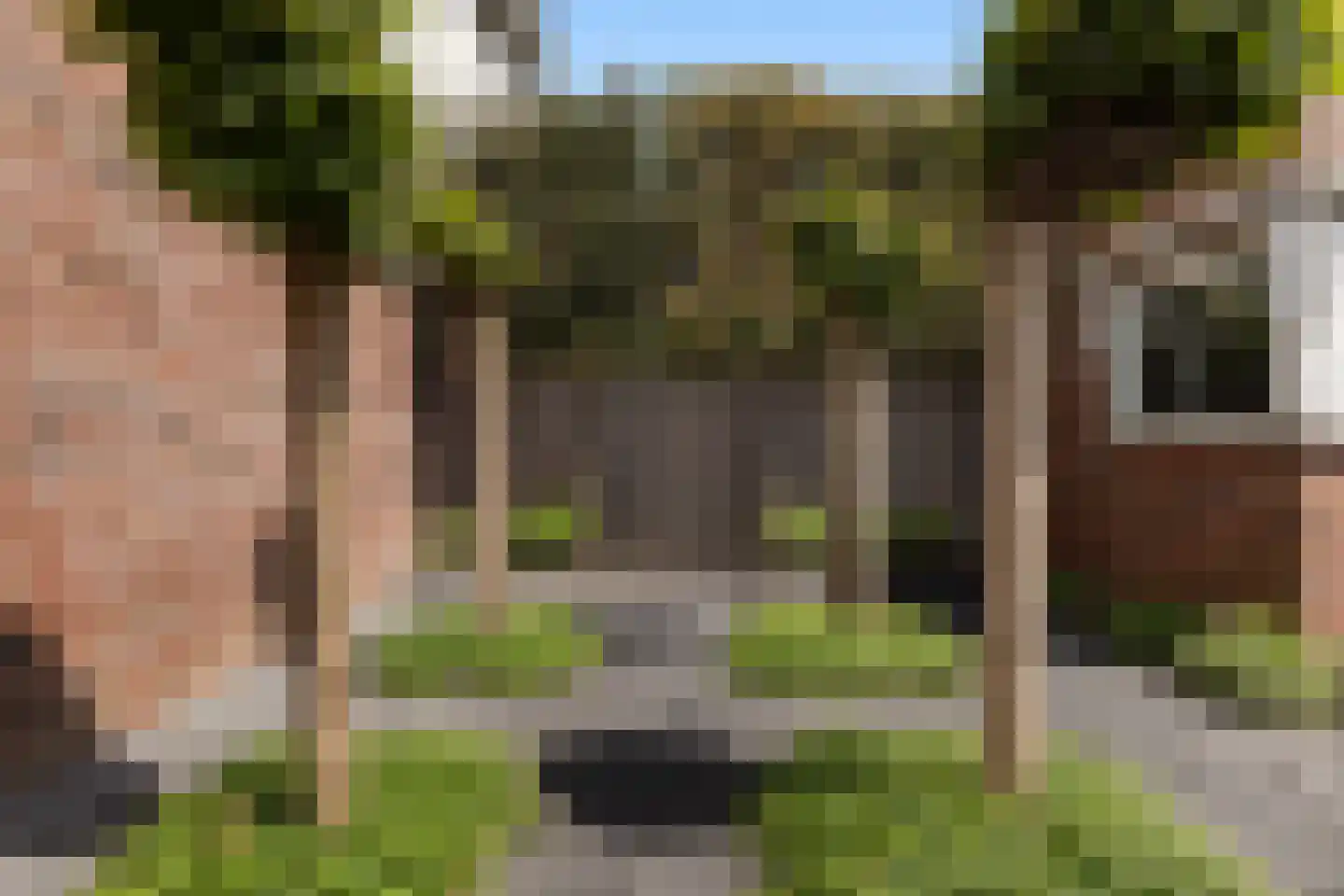 De Kreken 48 Alblasserdam thumbnail 14