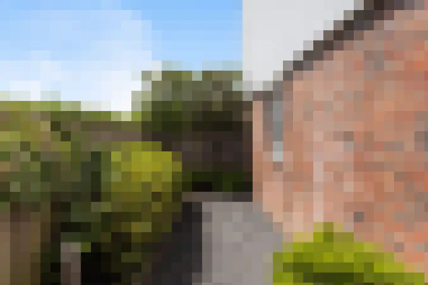 De Kreken 48 Alblasserdam thumbnail 27