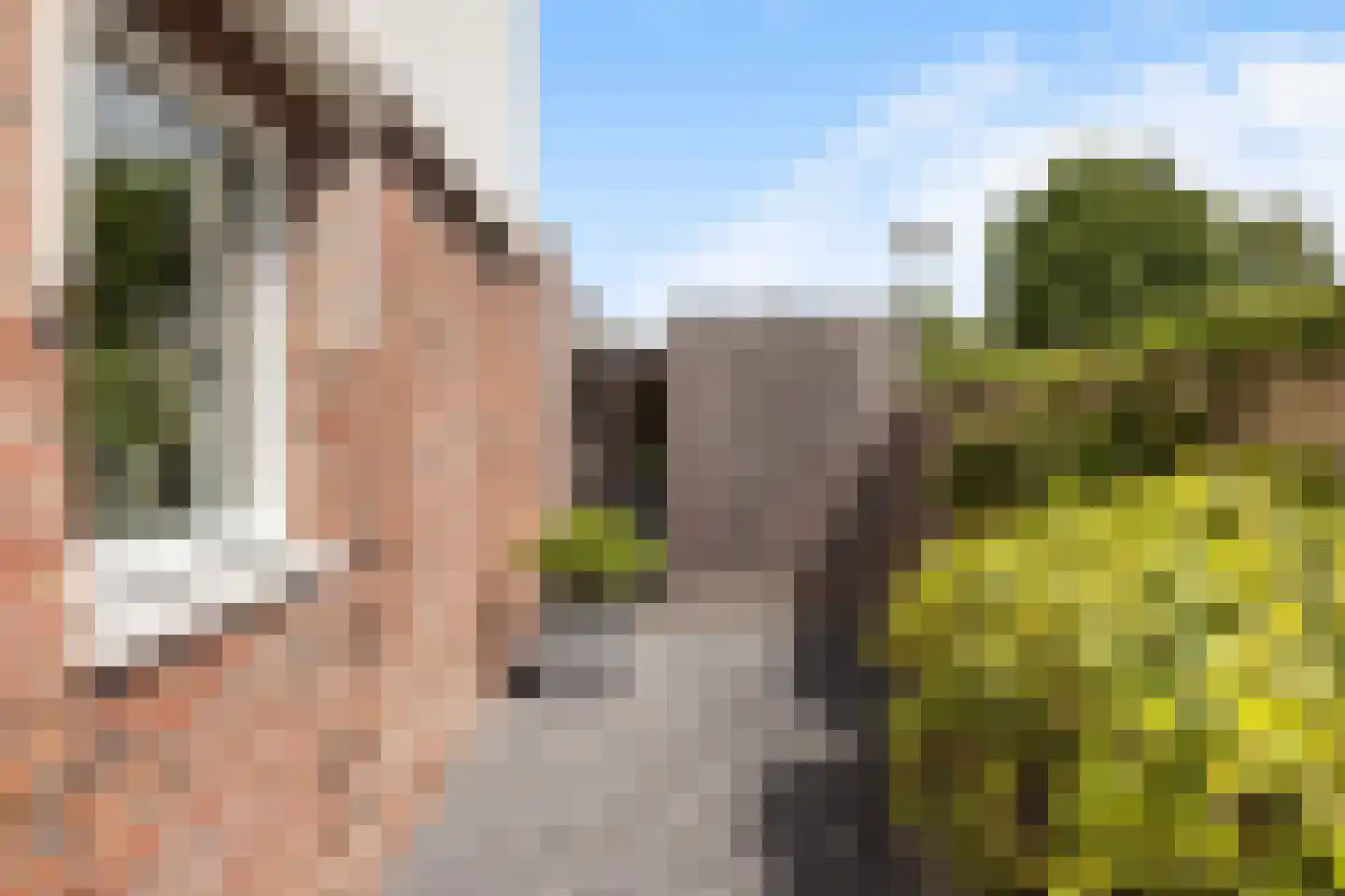 De Kreken 48 Alblasserdam thumbnail 28