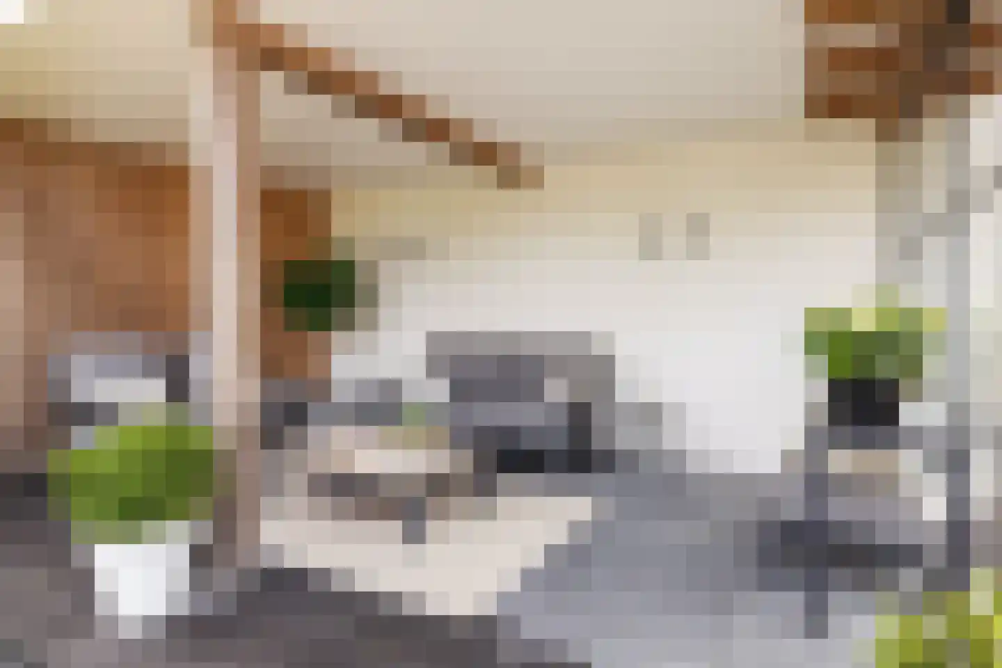 De Kreken 48 Alblasserdam thumbnail 30