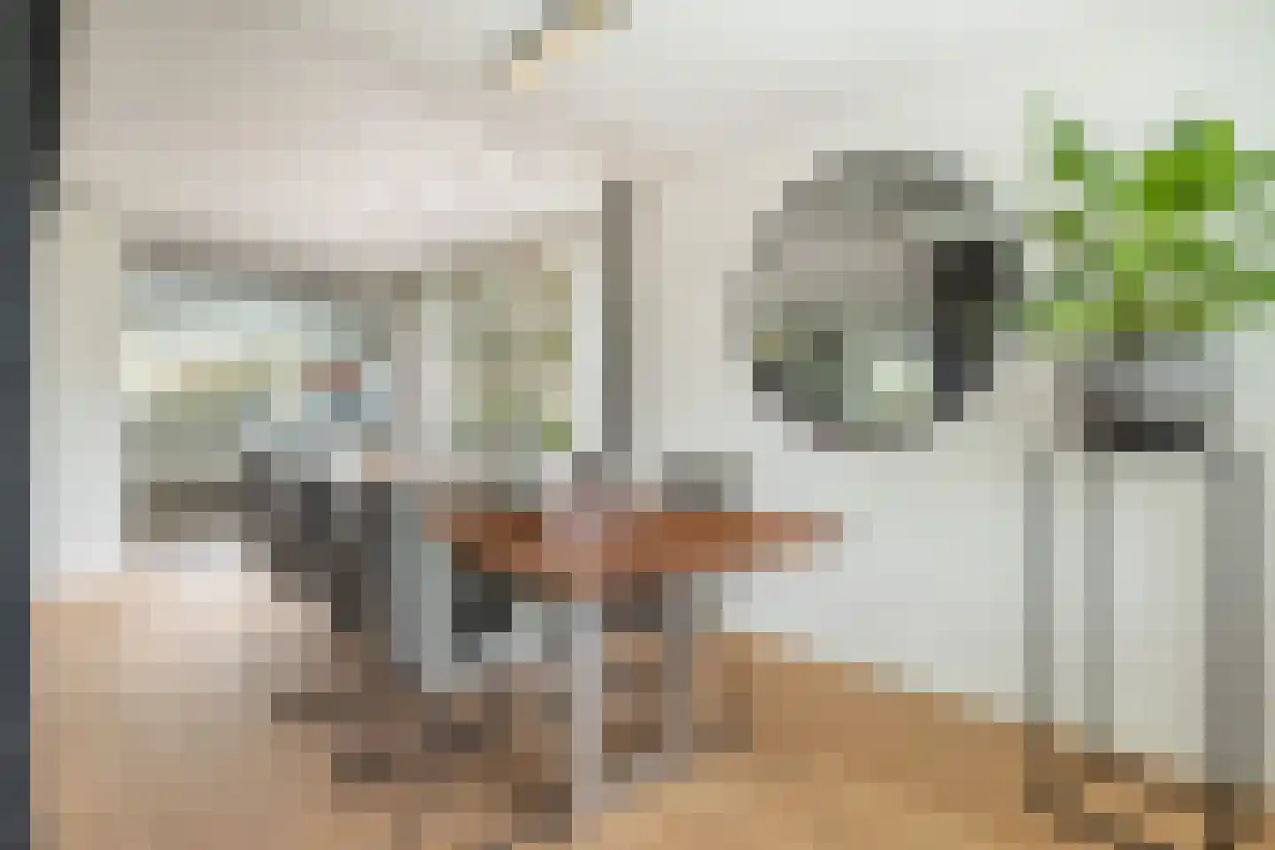 De Kreken 48 Alblasserdam thumbnail 38