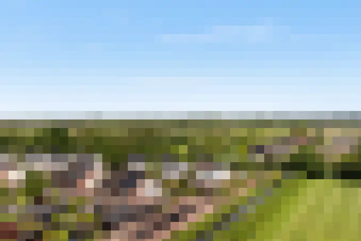De Kreken 48 Alblasserdam thumbnail 4