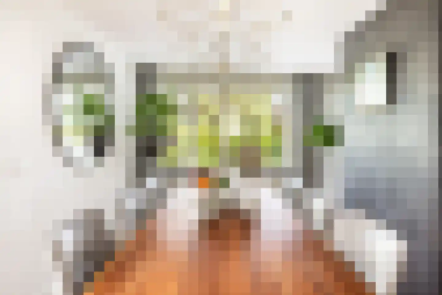 De Kreken 48 Alblasserdam thumbnail 49