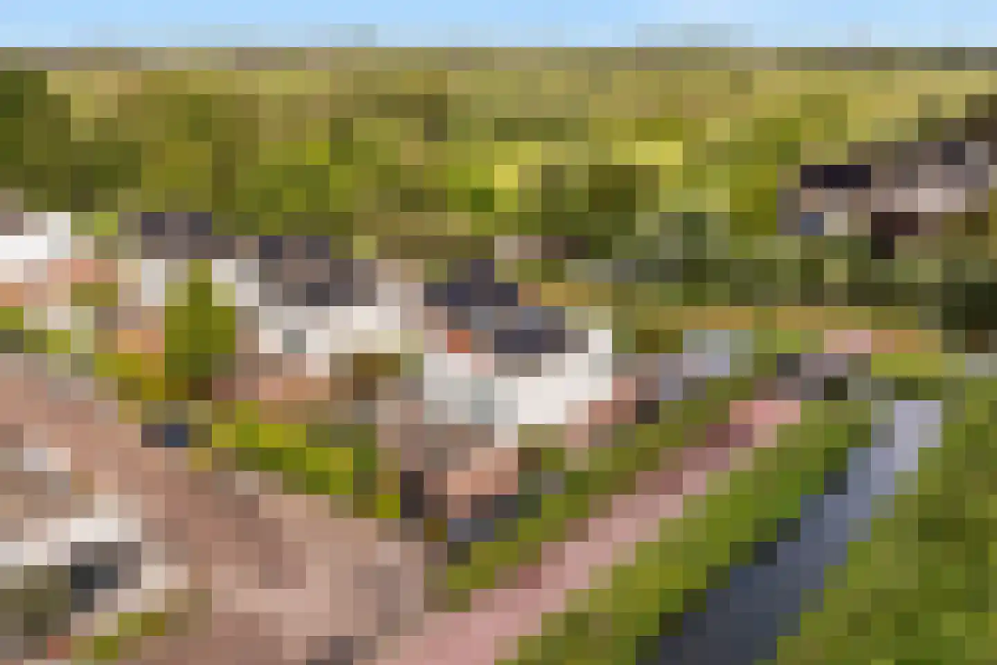 De Kreken 48 Alblasserdam thumbnail 5