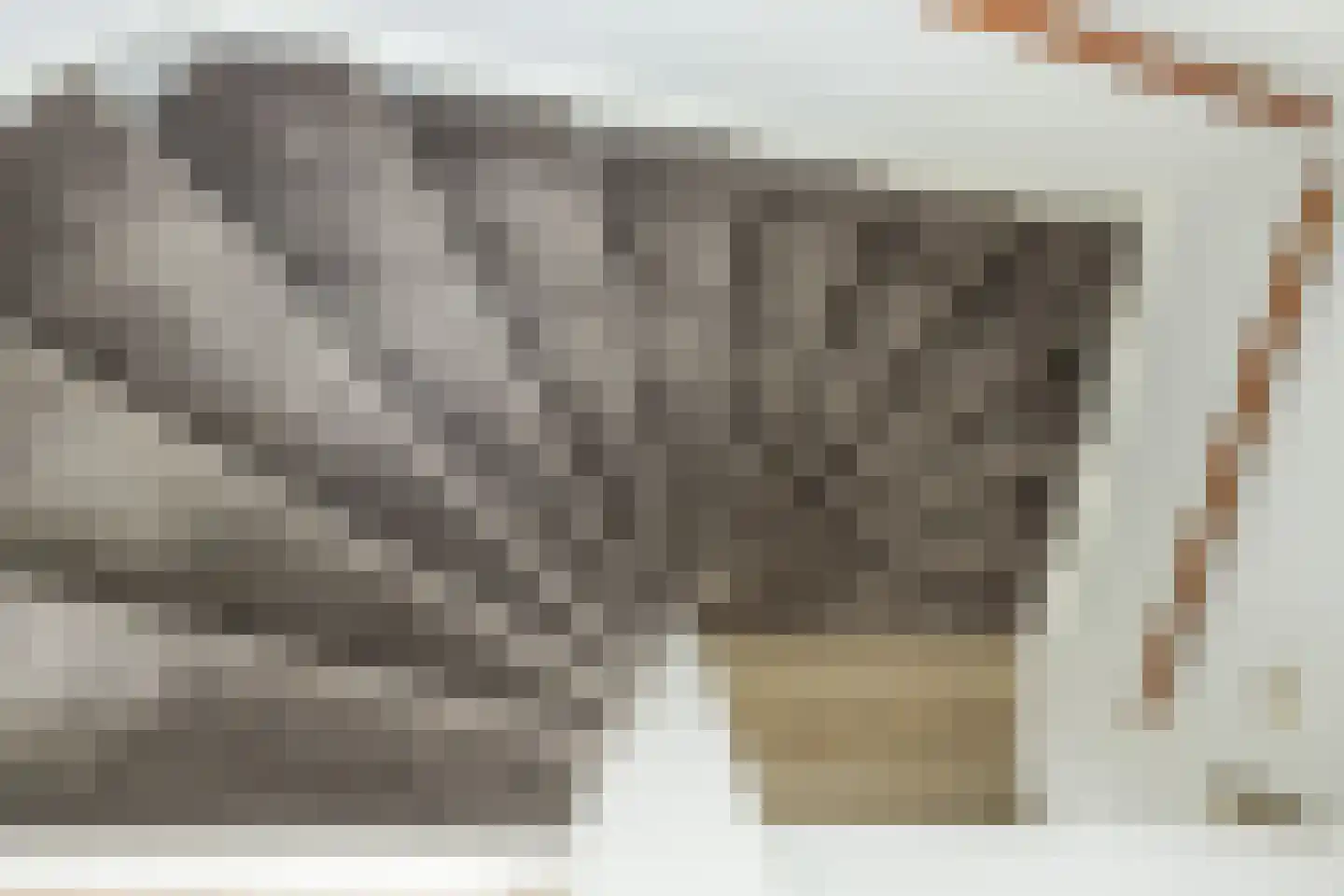 De Kreken 48 Alblasserdam thumbnail 50