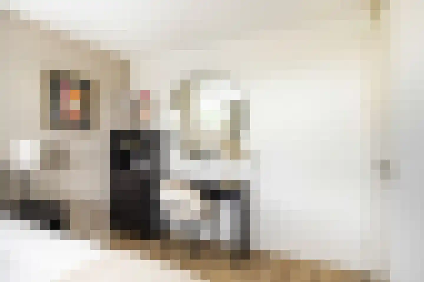 De Kreken 48 Alblasserdam thumbnail 53