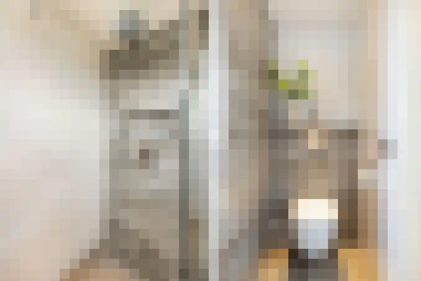 De Kreken 48 Alblasserdam thumbnail 56
