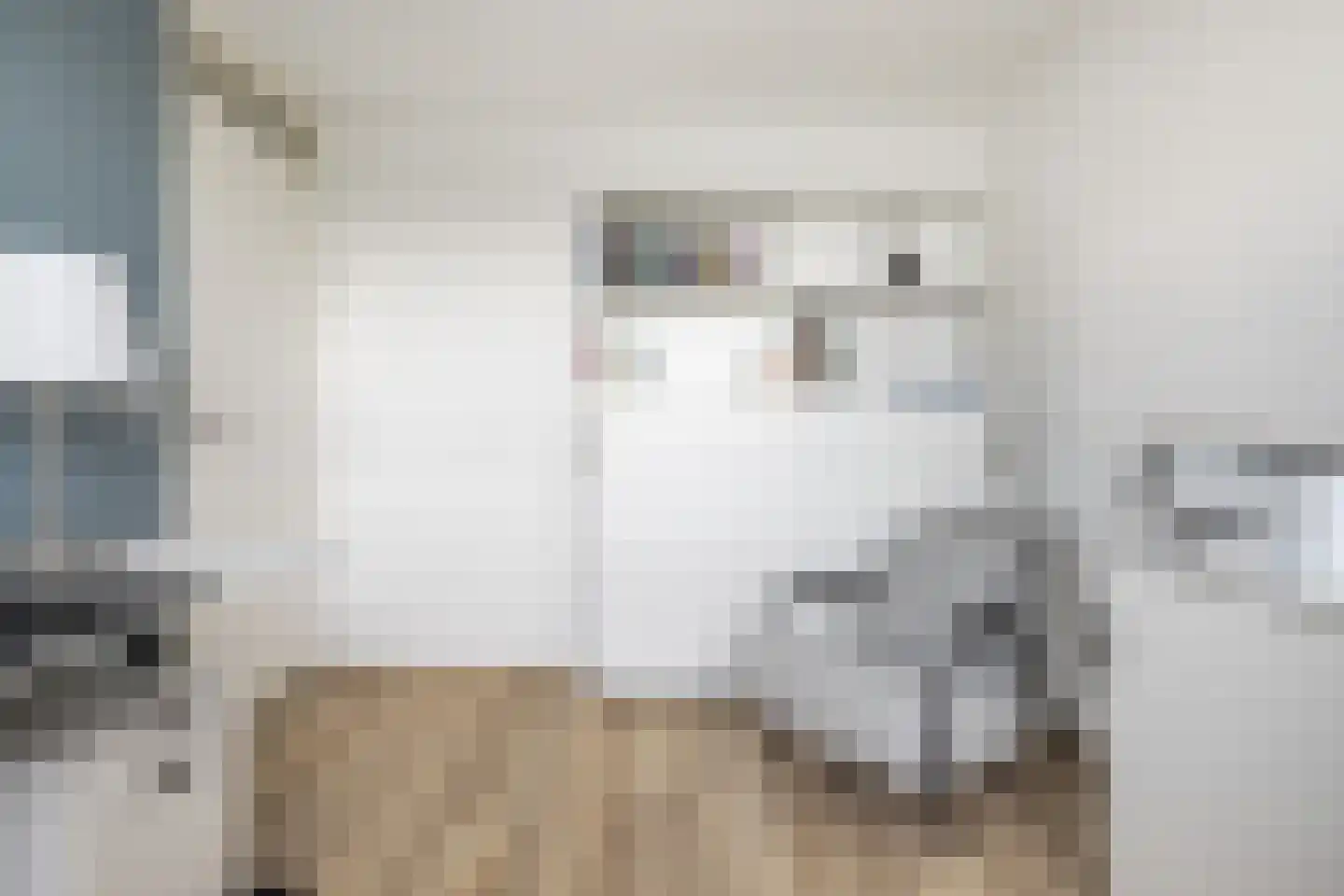 De Kreken 48 Alblasserdam thumbnail 60