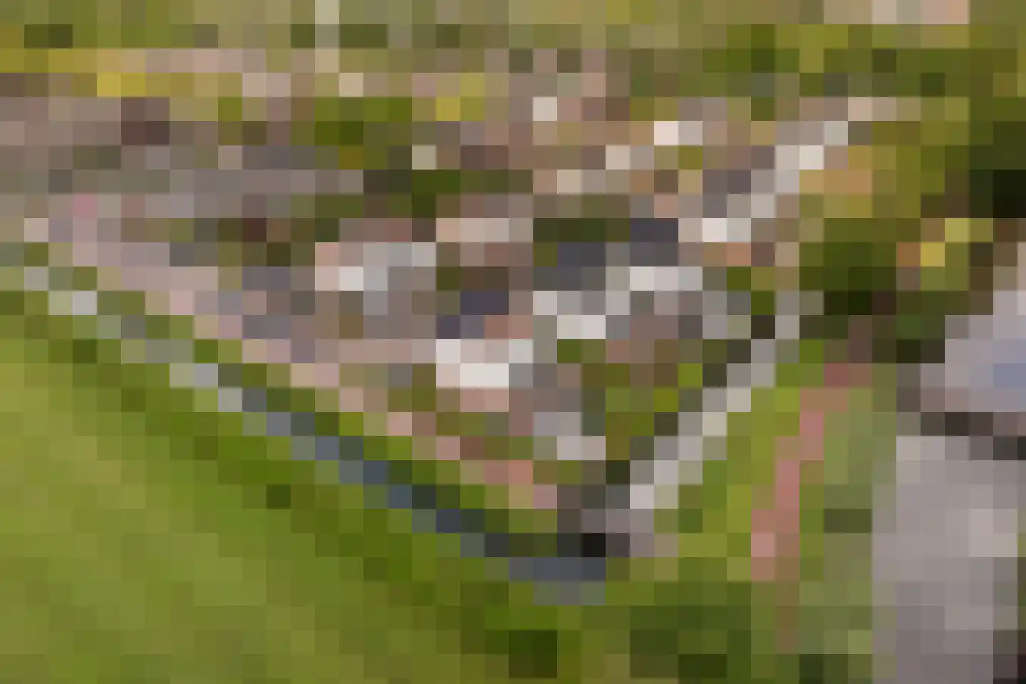 De Kreken 48 Alblasserdam thumbnail 70
