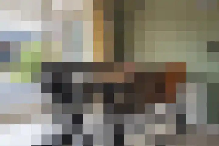 De Kreuzen 23 Erica thumbnail 17