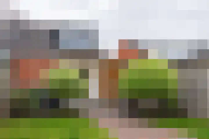 De Kreuzen 23 Erica thumbnail 37