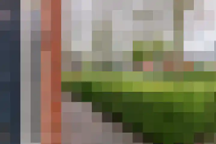 De Kreuzen 23 Erica thumbnail 7